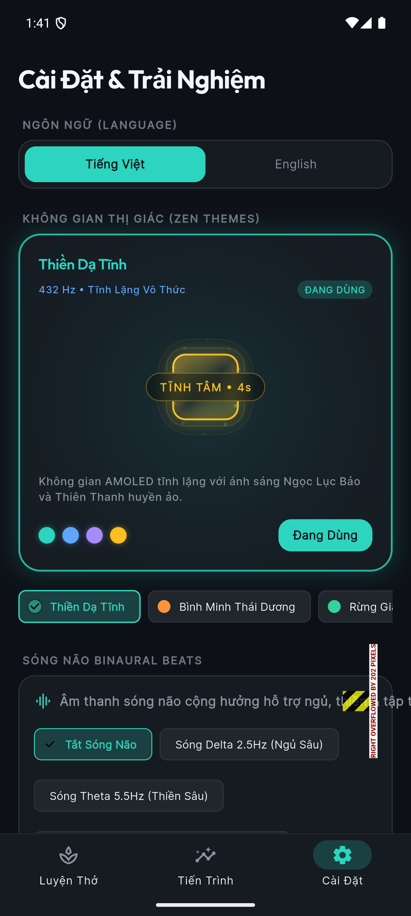 Âm cảnh và sóng não